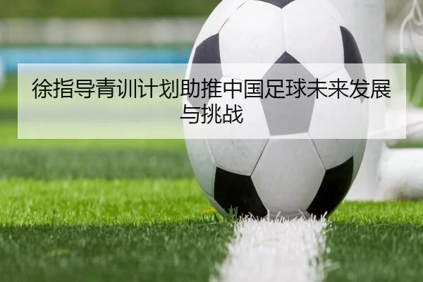 徐指导青训计划助推中国足球未来发展与挑战